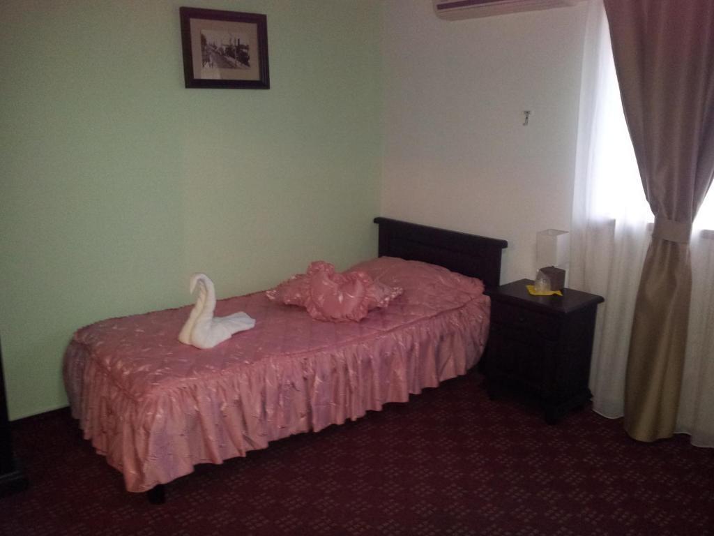 Pension Casa Sibiana 술리나 외부 사진